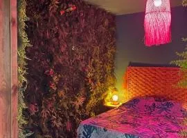 Jacuzzi jungle privative appartement