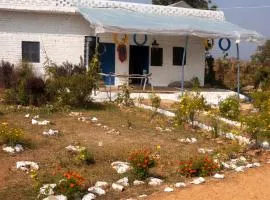 BeeCare Life Syntropic Farm - Nature-inspired sanctuary