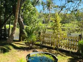 Moonlit serenity Tangalle