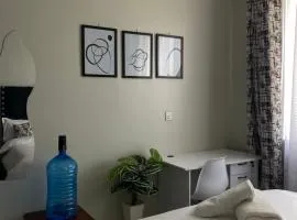 Candisi homes, studio 23 minutes to JKIA