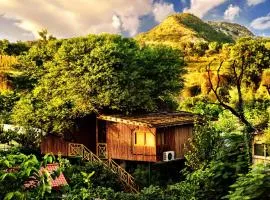 The Tree House Resort