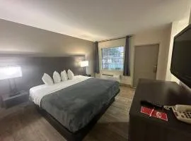 Econo Lodge St Petersburg Central