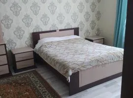 Частный дом на дороге в Шахдаг