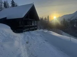 Cabin with a great view at Gaustablikk