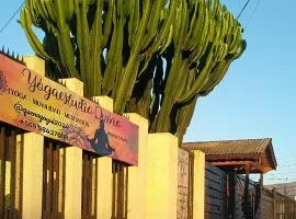 La Casa de los Cactus
