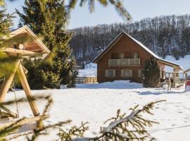 Family Nest vendégház, hotel em Sub Cetate