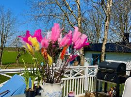 Vackert nyrenoverat 1800-talshus med bastu, vedspis och kamin, hotel in Hemse