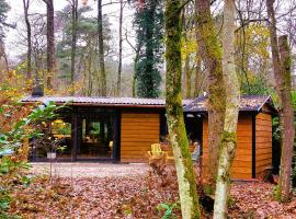 Super gezellige en luxe boschalet de Specht، فندق في دورن