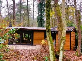 Super gezellige en luxe boschalet de Specht