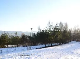 Chata Mioduszyna w Beskidach - drewniany dom z widokiem na Babią Górę