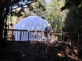 Domo Glamping en el bosque