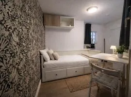 studette confort angers la doutre