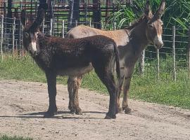 Tamboti Farm Camp Sites, hotel em Tsumeb