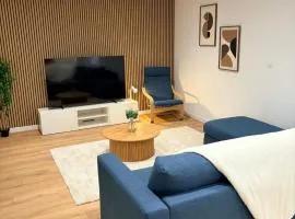 L'Horizon-Appartement Spacieux et élégant, coeur de Dole - Parking Gratuit à proximité