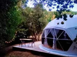 Domo Glamping en el bosque - Coñaripe