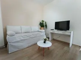 Departamento 9 de Julio