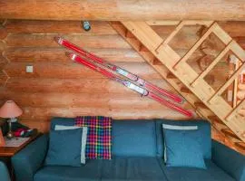 Pyhänäkyy D - cabin with a view to the slopes