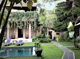 Honey Tree Villa- life is sweet!