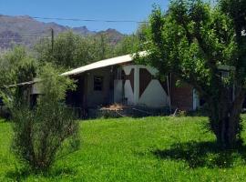 Cabañas Jardín del Neuquén, hotel en Huinganco