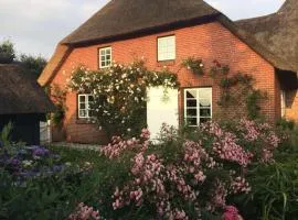 Holiday home in Midlum with swimming pool