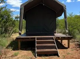 Inn Africa Safari Camp