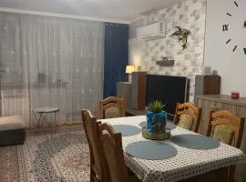 Apartament Dzielna 78