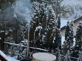 Vila Plai Predeal, Hotel in Predeal