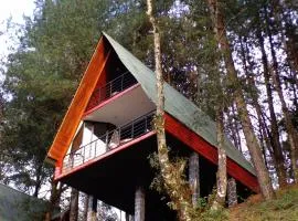 Cabañas El Rincón de Pancho