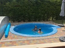 Magyar Tenger Pihenőház, for 2-8 person, 105 m2, garden, pool, free parking, 5 min from the Lake, Balatonakarattya