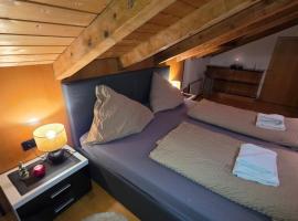 Apartment Alex Ski Parkplatz Winterurlaub, hotel a Dornbirn