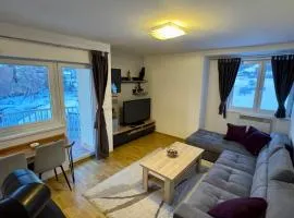 Apartman Zimski Kutak