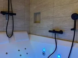 COCON Mayennais - Loft Balnéo Laval