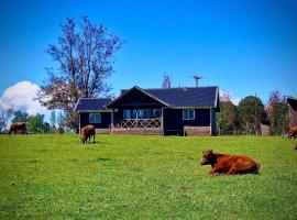 Puyehue, hotel a Mantilhue