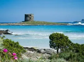 Sea view house, private parking, WiFi