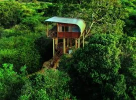 Leopard Nest in Yala
