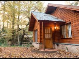 A centrally located cabin surrounded by nature, hotel sa San Martín de los Andes