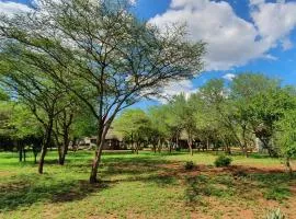 KaMsholo Bushveld Safaris