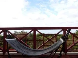 満点の星空と大絶景のパノラマ 鳥の大合唱で目が覚める山頂のお宿 天夢森