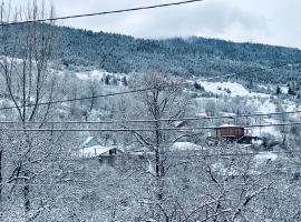 borjomi wood edge、ボルジョミのホテル