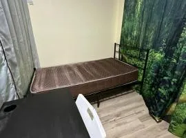 Shared but isolated room in Central Los Angeles