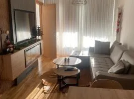 Privatni apartman A15 Vučko Aparthotel
