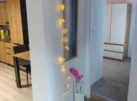 Apartament z ogrodem Poranna Rosa