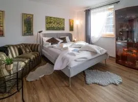 Apartmán v centru s terasou