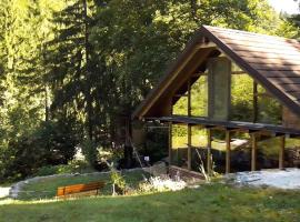 Wild Art Wooden house, hotel a Ig