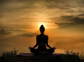 kapi wild cottage Ella