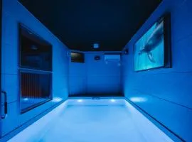 SEADINERS VILLA AOYAMA Tokyo First Metropolis Villa Pool Sauna BBQ