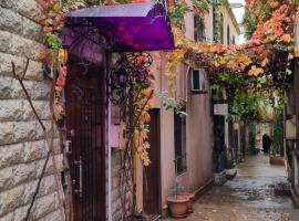 Retro Silent Boutique Hotel, hotel en Baku
