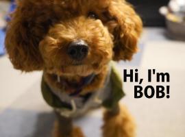 Slopeside Lodge Hakuba, hotel em Otari