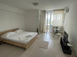 1 room Circumvalatiunii, hotel u Temišvaru
