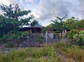 Homestead Farm Payag Bahay Kubo